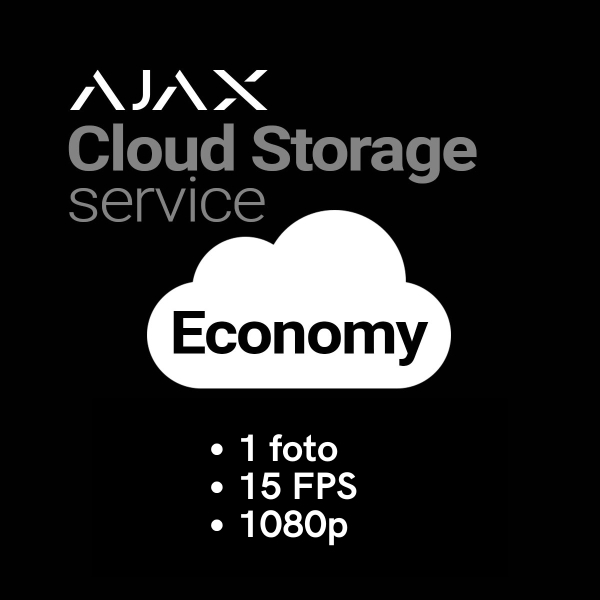 Cloud Storage Economy